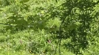 Apartamentos Rurales Balc�n Real