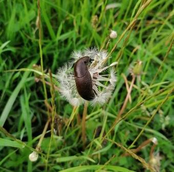 Apartamento Beautiful House In Idyllic Location