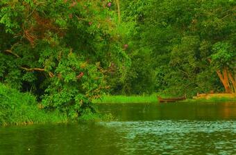 Hotel Periyar Resorts