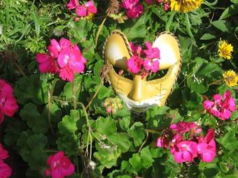 Bed & Breakfast Les Colibris