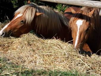 Lodge Holiday Home Due Laghi Paciano