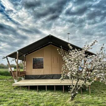 Bg Apartments Safaritent