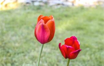 Stunning Home In Hedekas With Wifi And 2 Bedrooms