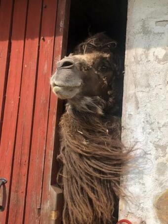 Beautiful View At Unique Farm