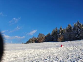 Hostal Pensiunea Maros