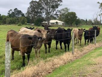 Meadow Mountain Lodge