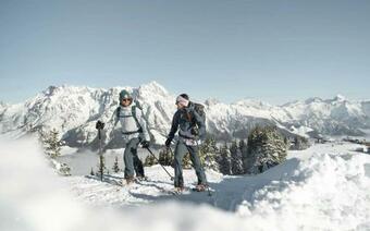 Apartamento Alpine Lodge Leogang