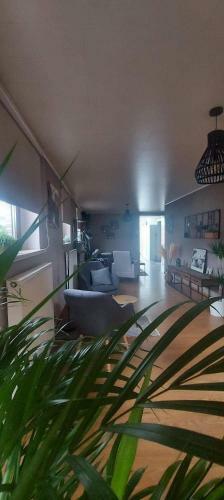 Apartamento Vakantiewoning - ?t Ouwershuys