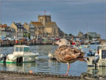 Maison 3 Chambres, Vue Magnifique Sur Le Port Et La Mer