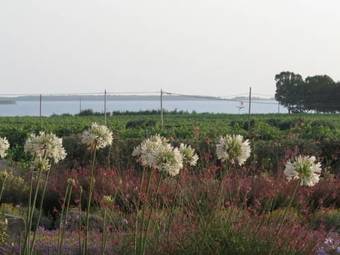 Apartamento Borgo Della Luna