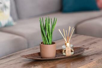 Apartamento G&m House