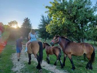 Farma & Apartmani Deli?