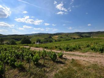 Villa Domaine Epicure