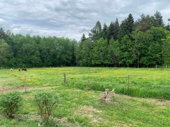 Urocze Gospodarstwo Z Ko?mi Kominkiem I Stajni?