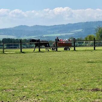 Agroturismo Ranczo Zwierzyniec