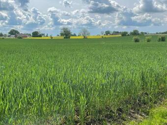 Holiday Home L�vestad