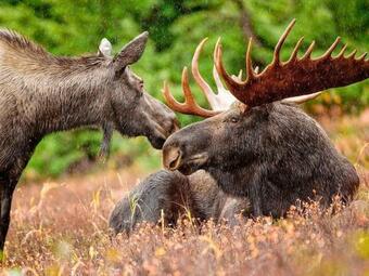 Holiday Home Munkfors