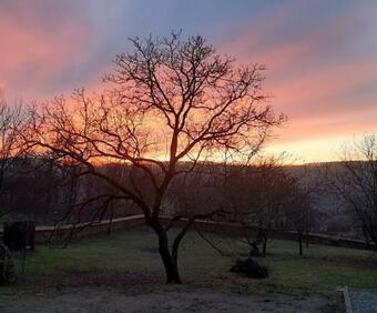 Acul �n Carul Cu Fan