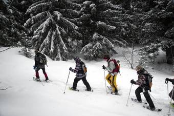 Les Balcons De Maurienne