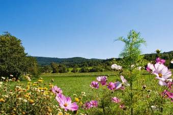 Hotel Auberge Et Hostellerie Paysanne