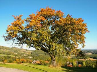 Hostal Pension C�cilia Familie Wilfinger