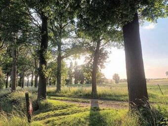 Beleef Banhout - Glamping
