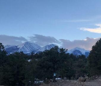 Black Bear Retreat Lodge 3