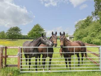 Apartamento Flagstone Cottage