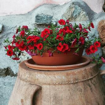 A Traditional Cretan House With A Unique View