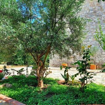 Apartamento Elia House 1 Near Nafpaktos