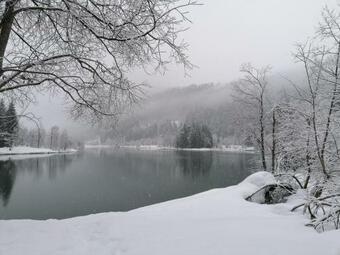 Apartamento Ferienwohnung Bachmann
