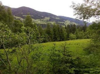 Direkt Am Waldrand, Ruhig Gelegenes Doppelzimmer Mit Extrabett