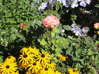 Apartamento Ferienwohnung Riesemann