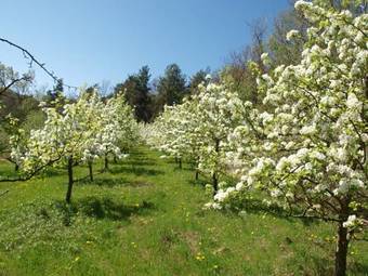 Agroturismo La Collina Degli Scoiattoli