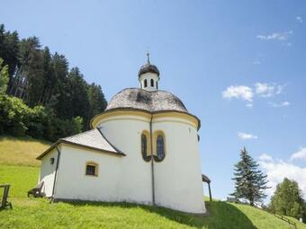 Newly-built Apartment In Tulfes With Private Swimming Pool