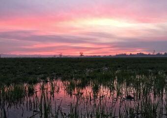 Bed & Breakfast Le Stanze Di Matilde