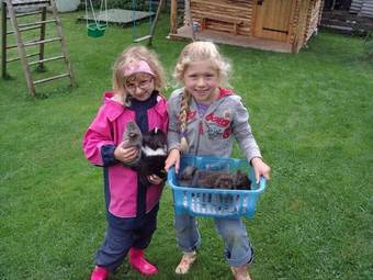 Agroturismo Haus Haarlehen