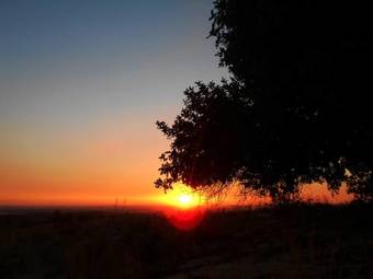 Hostal Ronnavona Guesthouse