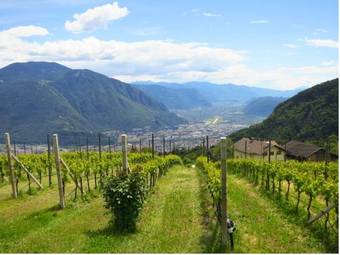 Agroturismo Haflingerhof