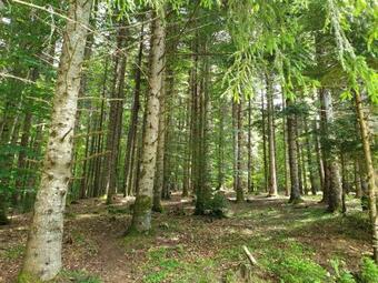 Villa Cabana V?s?latu Nuc?oara