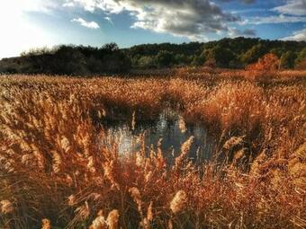 Bed & Breakfast Evana