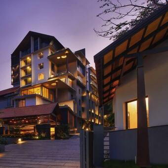 Hotel Woodbine Foliage