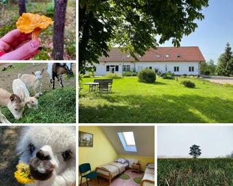 Apartamento Gospodarstwo Agroturystyczne Zasadkowe Bory