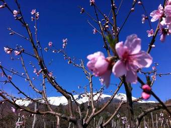 B&B La Casa Del Ficus