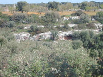 Bed & Breakfast Lama Cupa