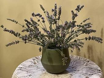 Apartamento Casa Margherita