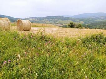 Apartamento Casa Contadina In Borgo Medievale, Tuscany
