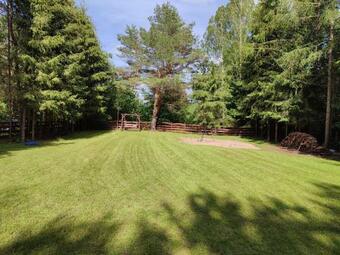 Domek W Lesie Na Mazurach Le?ne Zacisze