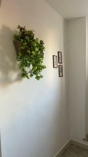 Hostal Santa Lucia Affittacamere