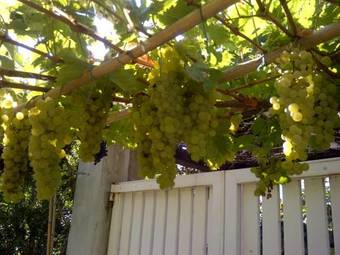 Bed & Breakfast La Locandina